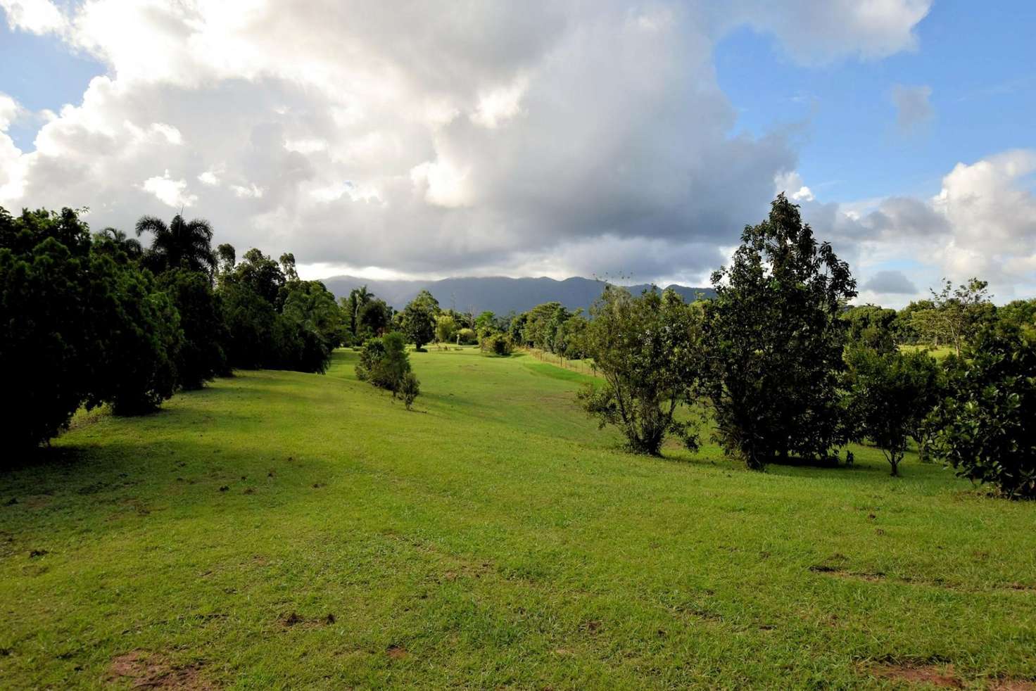 Main view of Homely residentialLand listing, L6 Bosel Court, Bulgun QLD 4854