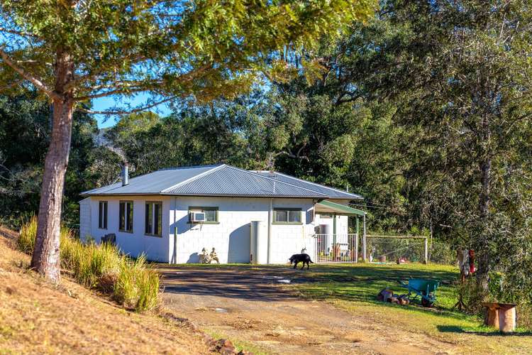 Third view of Homely ruralOther listing, 31 Stockyard Flat Close, MARLEE via, Wingham NSW 2429