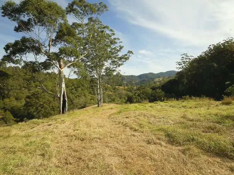 Third view of Homely rural property listing, 1390 Mooral Creek Road, Mooral Creek via, Wingham NSW 2429