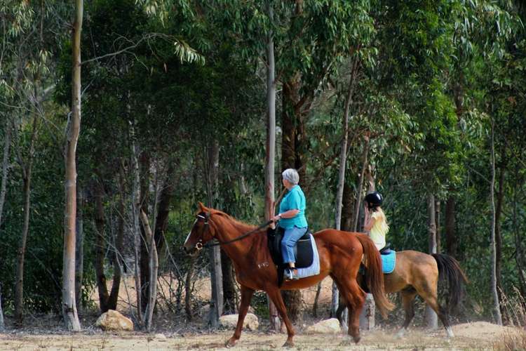 Fourth view of Homely residentialLand listing, Lot 61 Chilli Glade, Two Rocks WA 6037