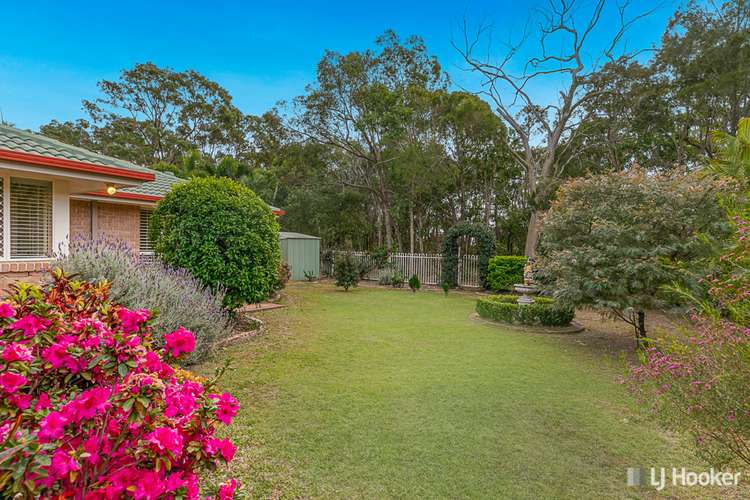 Second view of Homely house listing, 14 Patersonia Place, Birkdale QLD 4159