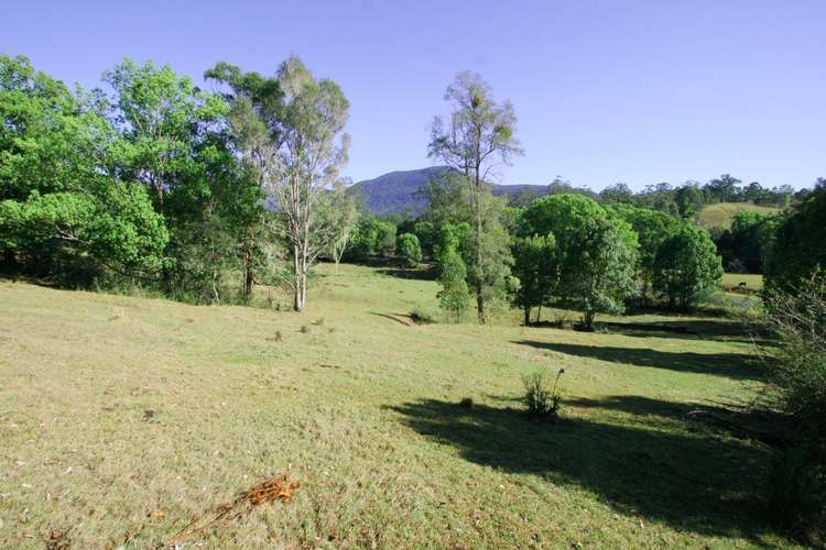 Fifth view of Homely residentialLand listing, 7 Swifts Road, Tyalgum NSW 2484