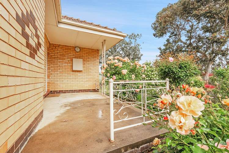 Fourth view of Homely house listing, 61 Lowry Street, Rochester VIC 3561