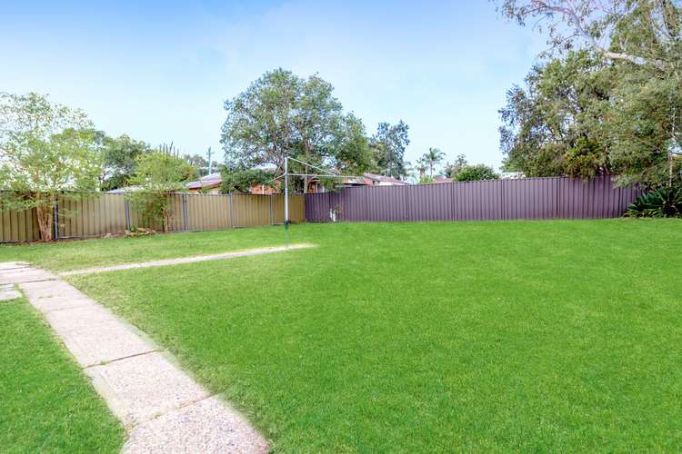 Fifth view of Homely house listing, 3 Franklin Crescent, Blackett NSW 2770