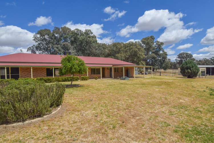 Main view of Homely ruralOther listing, 103 Pattersons Lane, Young NSW 2594