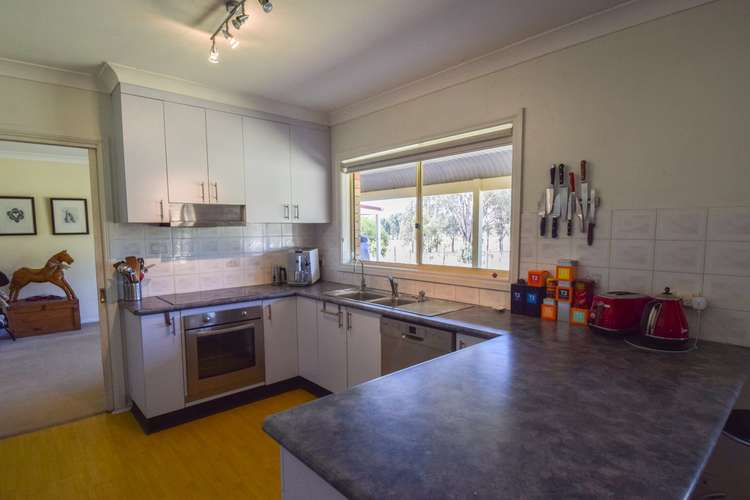 Third view of Homely ruralOther listing, 103 Pattersons Lane, Young NSW 2594