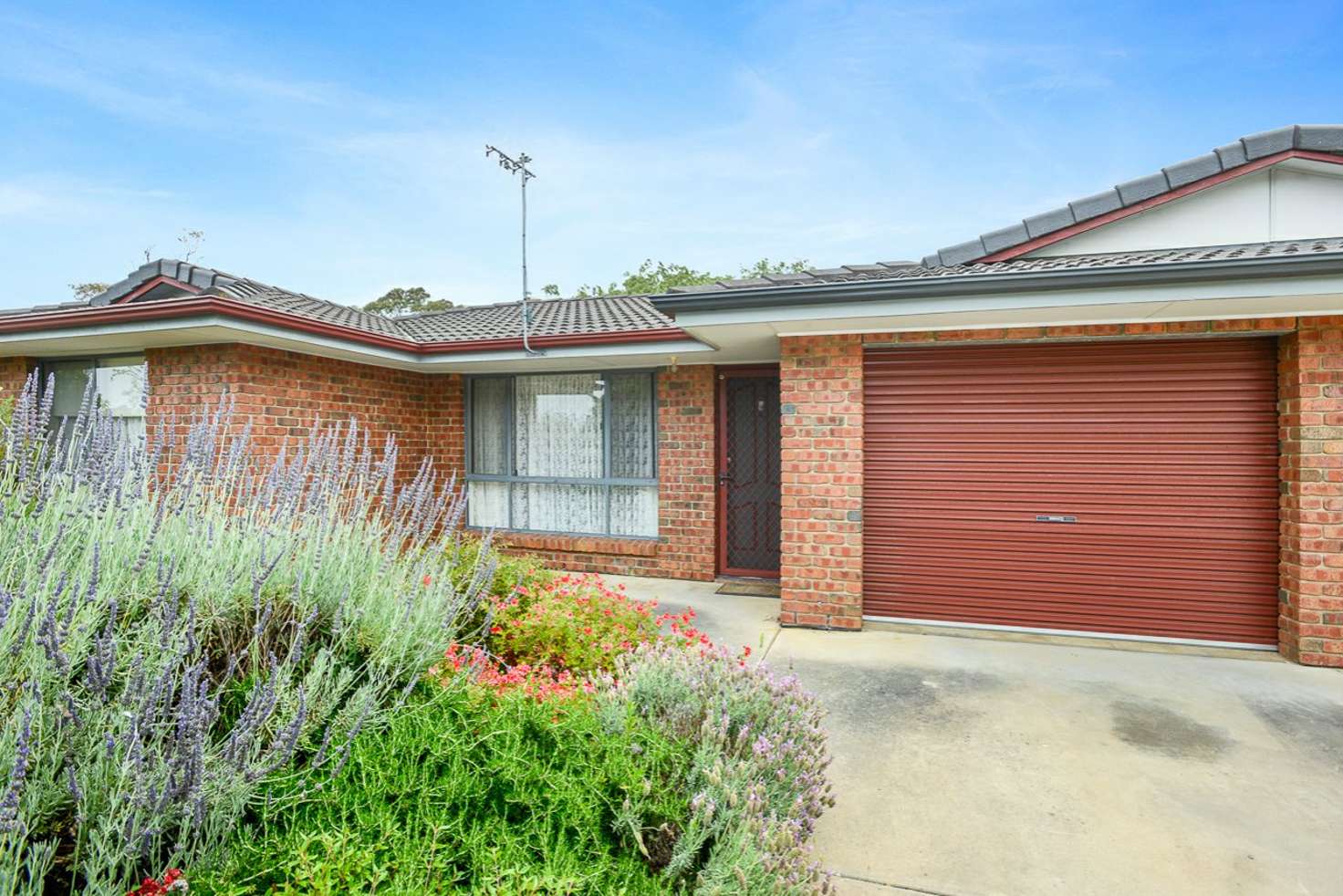 Main view of Homely unit listing, 1/4 Davoren Court, Victor Harbor SA 5211