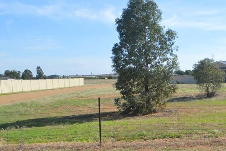 Fourth view of Homely residentialLand listing, Lot 101 McDonald Lane, Canowindra NSW 2804