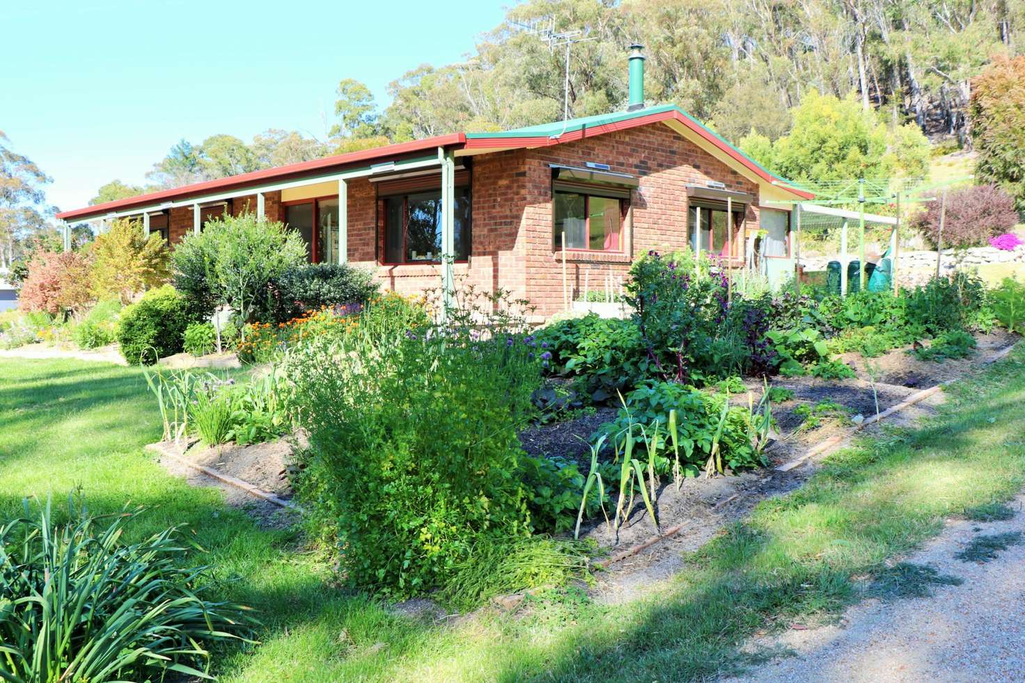 Main view of Homely house listing, 19 West Street, St Helens TAS 7216