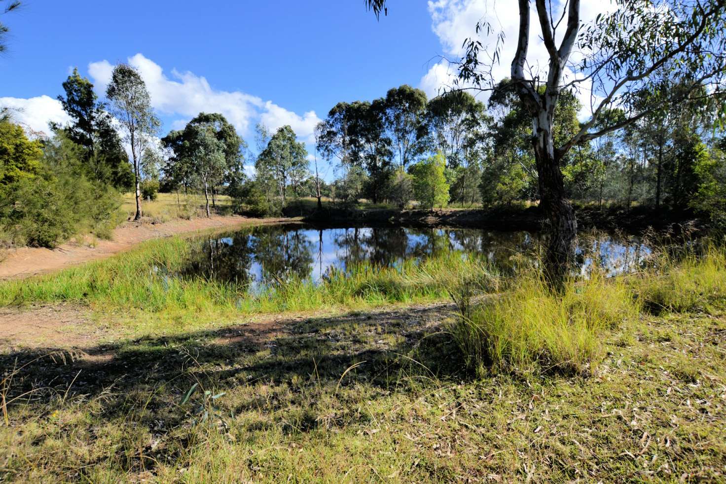 Main view of Homely residentialLand listing, 490 Gresford Road, Singleton NSW 2330