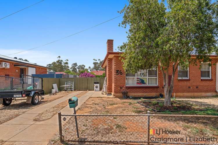 Main view of Homely house listing, 36 Stakes Crescent, Elizabeth Downs SA 5113