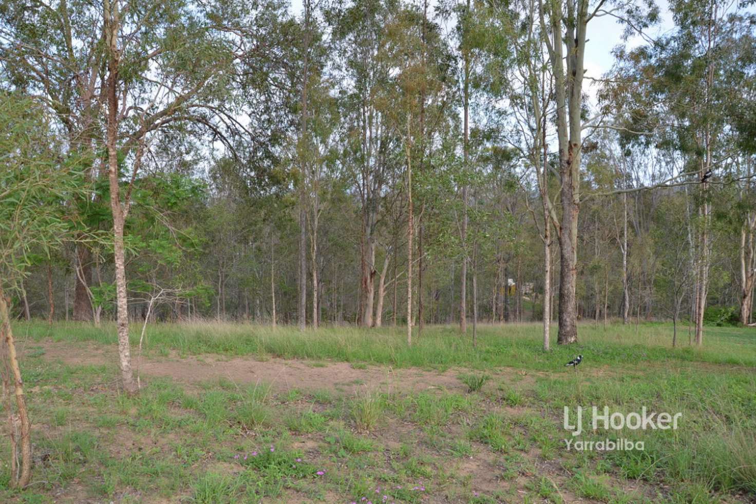 Main view of Homely residentialLand listing, Lot 147/140-146 Stephens Place, Kooralbyn QLD 4285