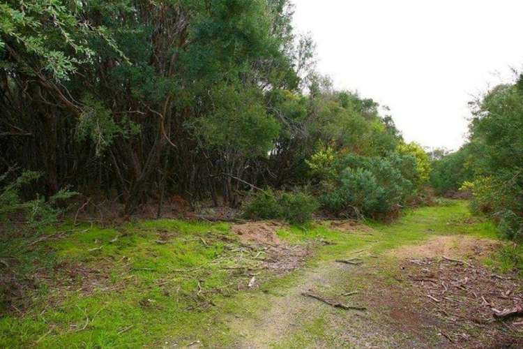 Main view of Homely residentialLand listing, 6 Albatross Court, Cannons Creek VIC 3977