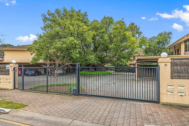 Main view of Homely unit listing, Unit 8/1A Hartland Avenue, Black Forest SA 5035