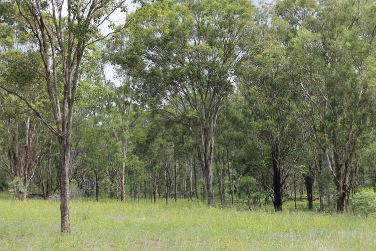 Lot 1 Leyburn-Cunningham Road, Wheatvale QLD 4370