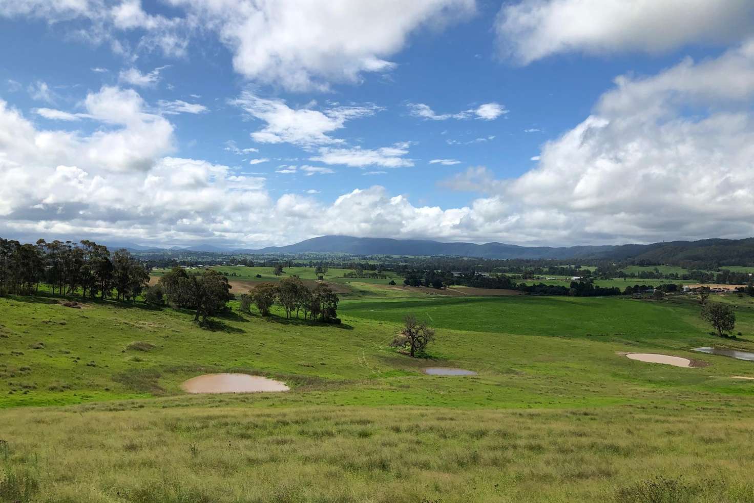 Main view of Homely residentialLand listing, Lot 207 Wumbalwarra Drive, Bega NSW 2550