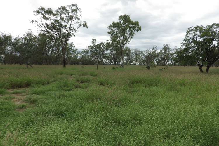 Fifth view of Homely ruralOther listing, 0 Rayners Road, Hodgson QLD 4455