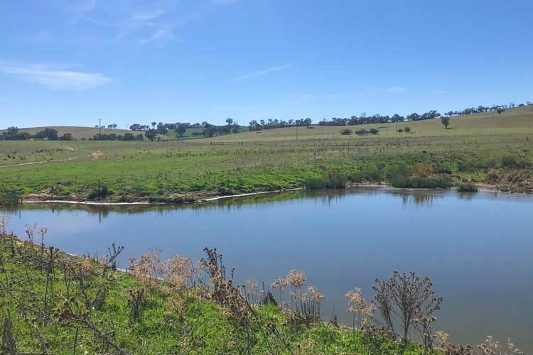 Main view of Homely ruralOther listing, 127 Calabash Road Murringo, Young NSW 2594