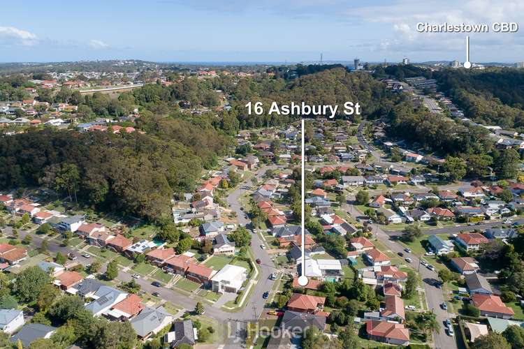 Main view of Homely house listing, 16 Ashbury Street, Adamstown Heights NSW 2289