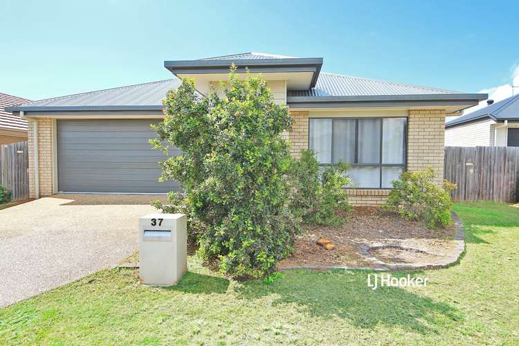 Third view of Homely house listing, 37 Elderflower Circuit, Griffin QLD 4503