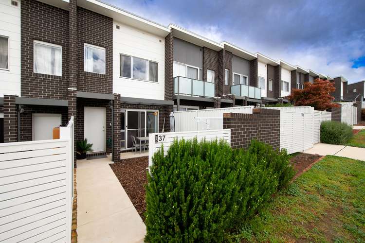 Fifth view of Homely townhouse listing, 37/8 Ken Tribe, Coombs ACT 2611