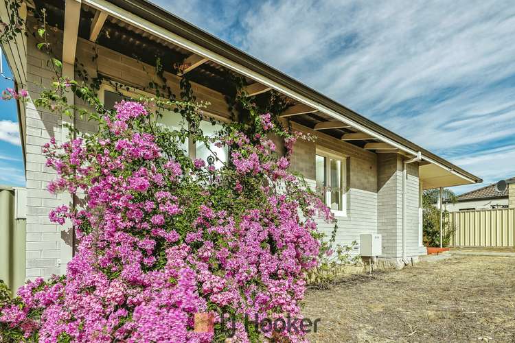 Seventh view of Homely house listing, 14 Fenwick St, Balga WA 6061