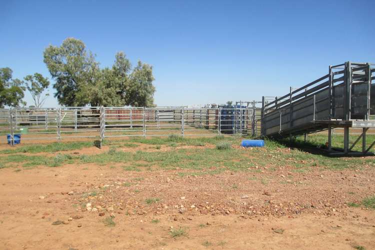 Fifth view of Homely ruralOther listing, 2 Foilview Road, Roma QLD 4455