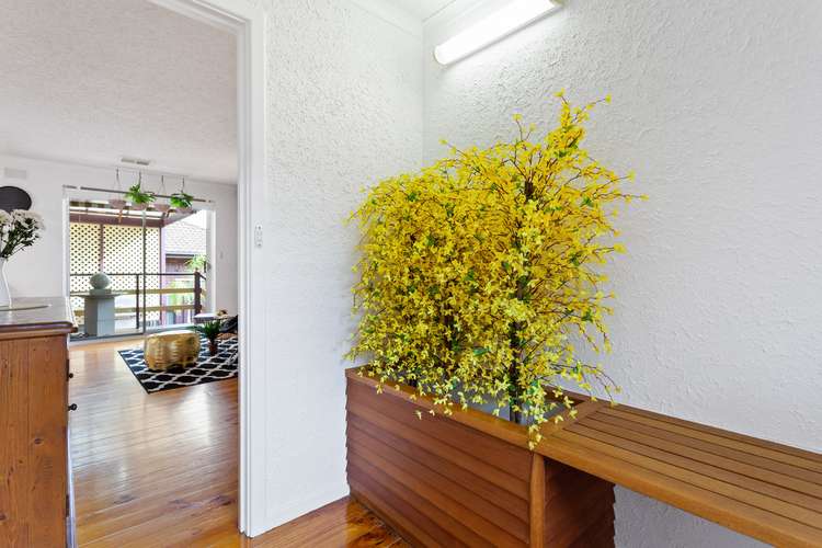 Second view of Homely house listing, 6 Marjorie Street, Gulfview Heights SA 5096