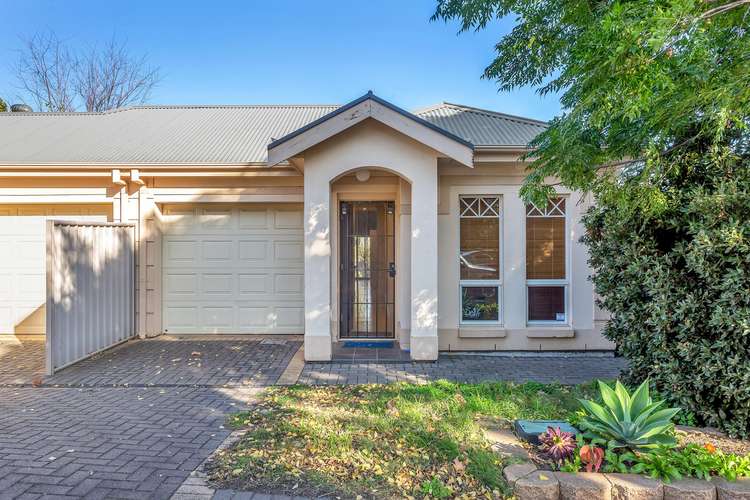 Main view of Homely house listing, 33 Dudley Avenue, Prospect SA 5082