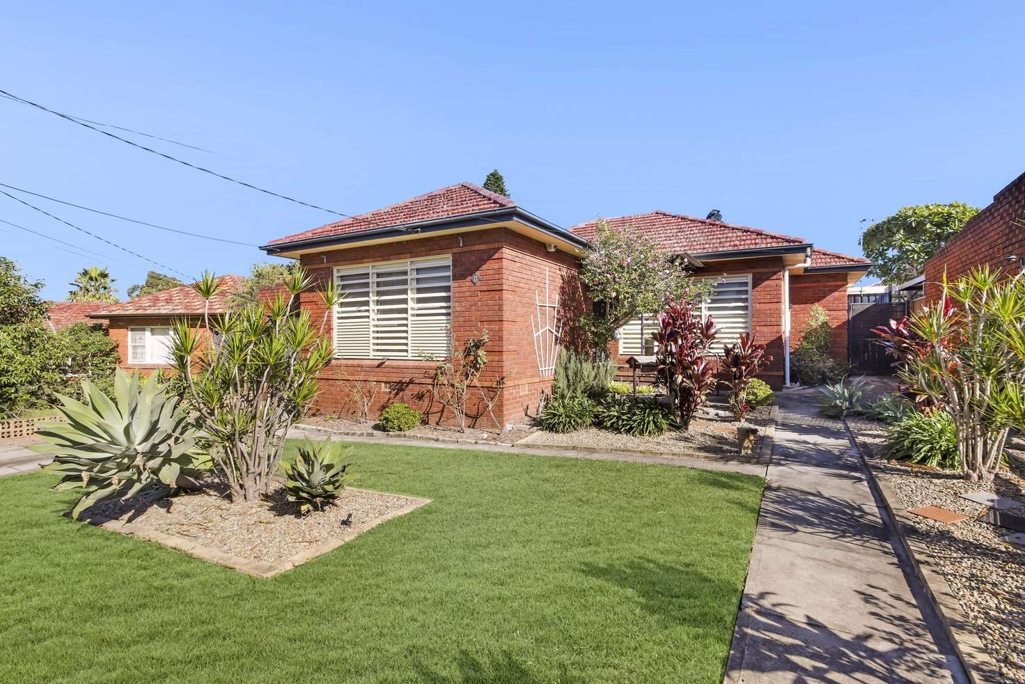 Main view of Homely house listing, 8 Chalford Avenue, Canterbury NSW 2193