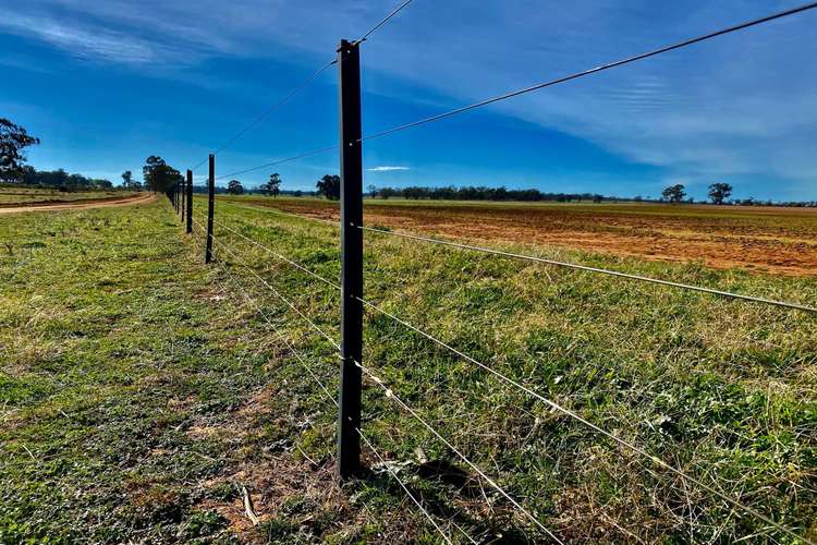 Fifth view of Homely ruralOther listing, 1361 "Boxdale" Carlisle Road, Condobolin NSW 2877