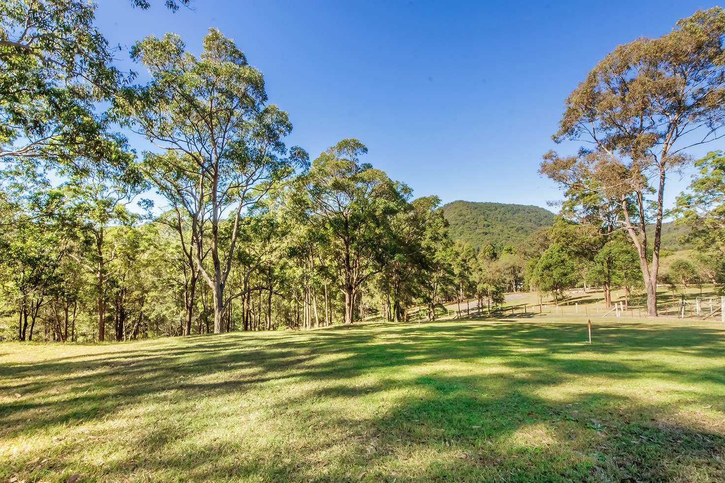 Main view of Homely residentialLand listing, Lot 1/467 Bonogin Road, Bonogin QLD 4213