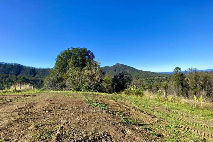 2148 Comboyne Road, Killabakh NSW 2429