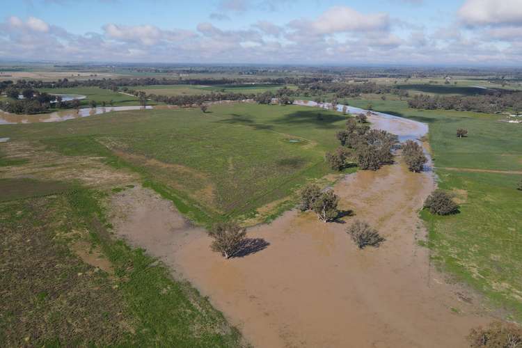 Second view of Homely ruralOther listing, 520 "Bagadanara" Newell Highway, Forbes NSW 2871