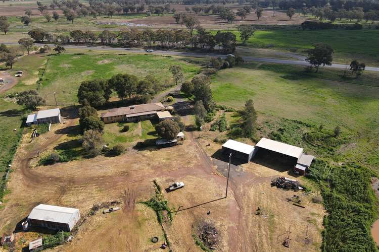 Third view of Homely ruralOther listing, 520 "Bagadanara" Newell Highway, Forbes NSW 2871