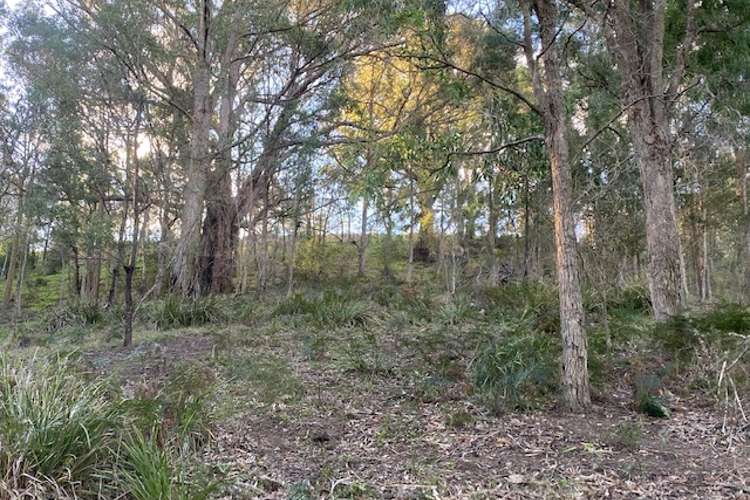 Fifth view of Homely residentialLand listing, Lot 260 Mount Pleasant Road, Bega NSW 2550