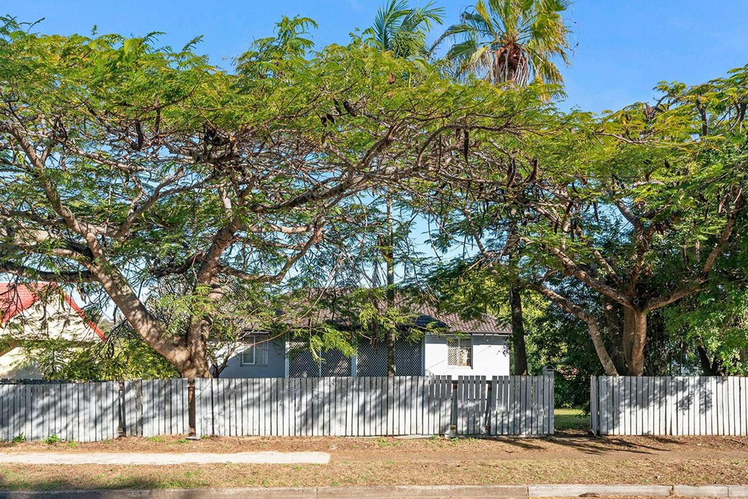 Main view of Homely house listing, 99 Lorikeet Street, Inala QLD 4077