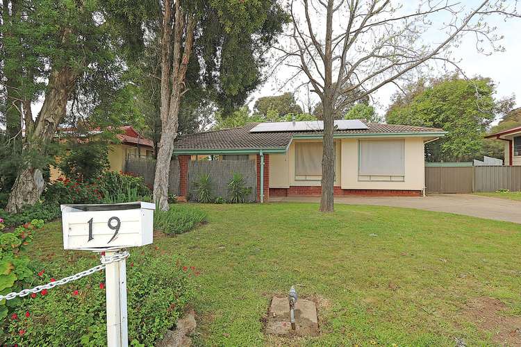 Main view of Homely house listing, 19 Awaba Avenue, Tolland NSW 2650