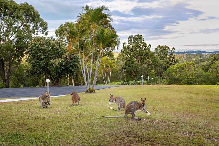 Third view of Homely house listing, 16 Glenrowan Drive, Tallai QLD 4213