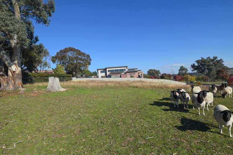 Main view of Homely residentialLand listing, 16 Bailes Crescent, Young NSW 2594