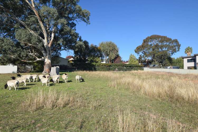 Fifth view of Homely residentialLand listing, 16 Bailes Crescent, Young NSW 2594