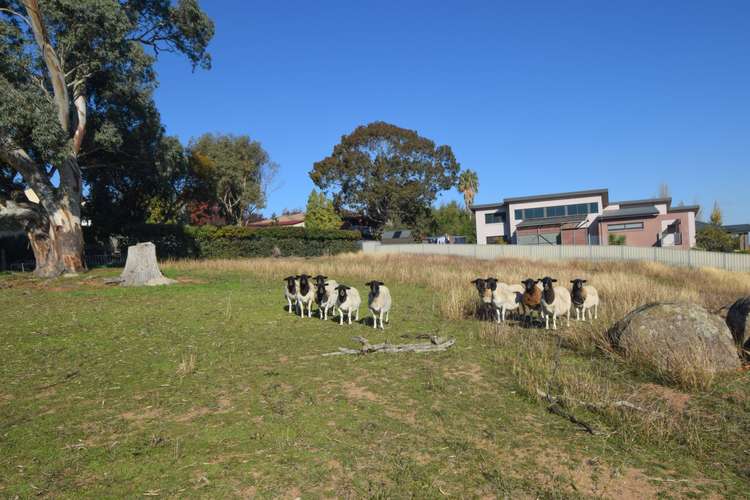 Seventh view of Homely residentialLand listing, 16 Bailes Crescent, Young NSW 2594