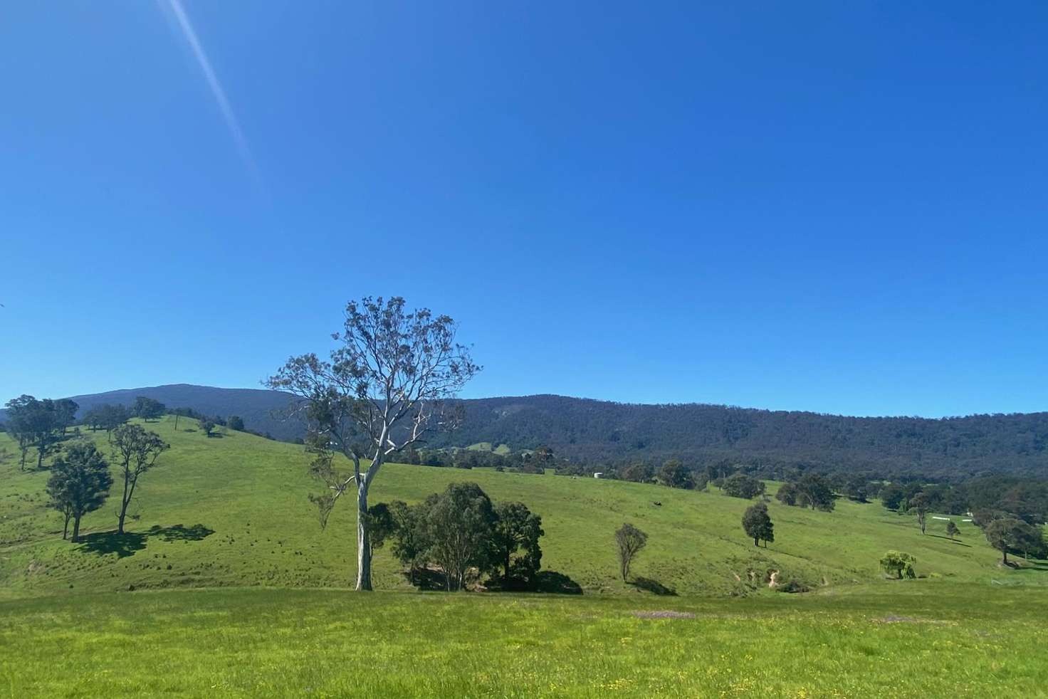 Main view of Homely ruralOther listing, Lot 3 Greendale Road, Bega NSW 2550