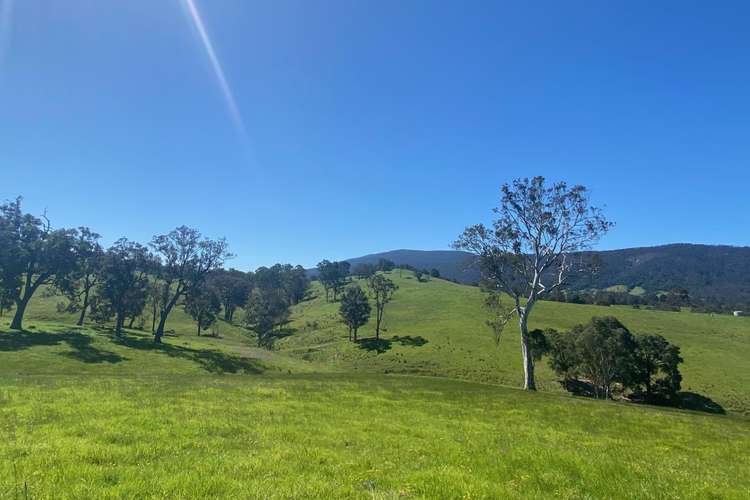 Fifth view of Homely ruralOther listing, Lot 3 Greendale Road, Bega NSW 2550