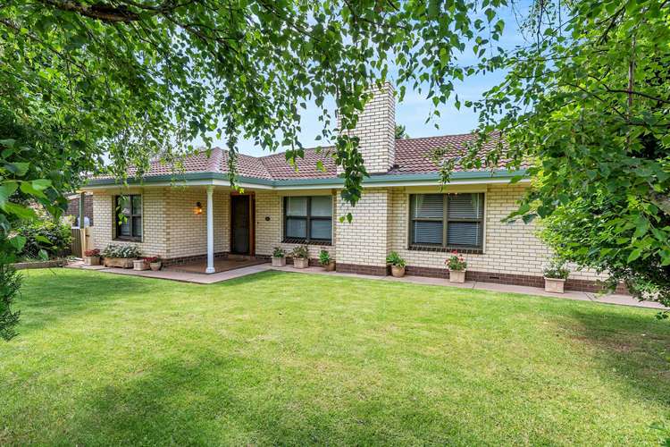Second view of Homely house listing, 49 Albert Road, Mount Barker SA 5251