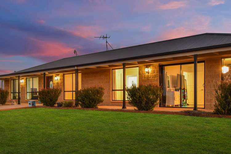 Main view of Homely house listing, 393 Spring Creek Road, Young NSW 2594