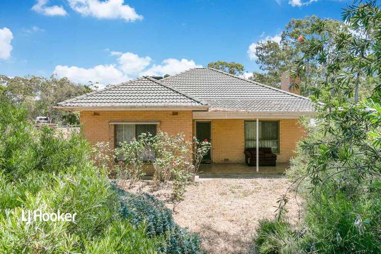 Main view of Homely house listing, 65 Elizabeth Street, Banksia Park SA 5091