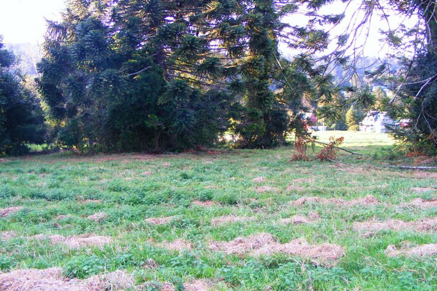 Main view of Homely residentialLand listing, Lot 3 Bunya Mountains Road, Bunya Mountains QLD 4405