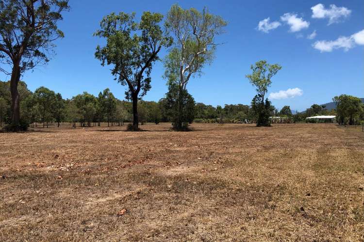 Seventh view of Homely residentialLand listing, 21 Tranquil Court, Cardwell QLD 4849