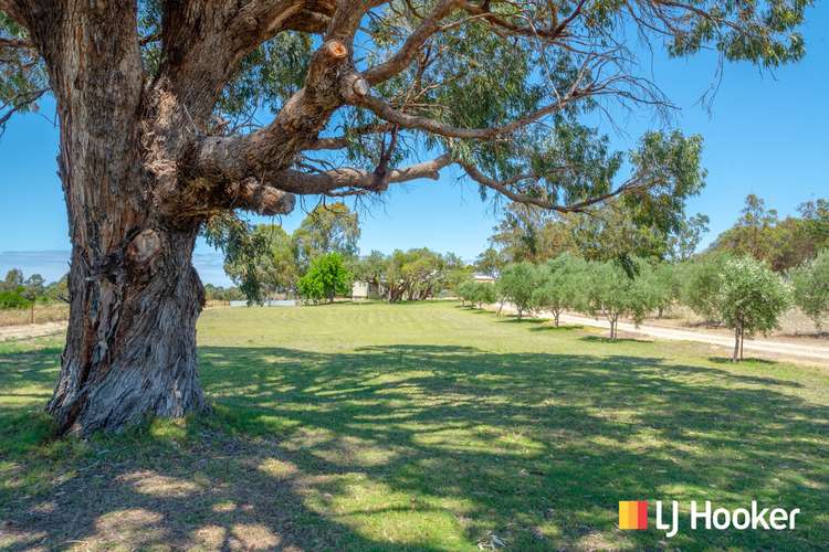 Second view of Homely house listing, 37 Cornish Court, Gabbadah WA 6041